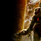 Illustration for article titled Heres the Basic Plot of the emGod of War/em Movie